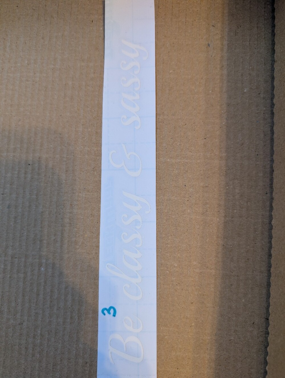 Decal "Be Classy & Sassy"